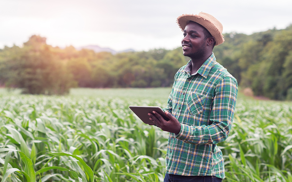 Modernizing farming productivity